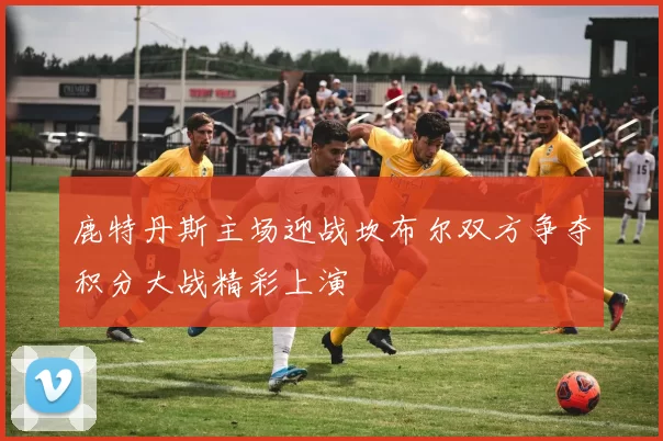 鹿特丹斯主场迎战坎布尔双方争夺积分大战精彩上演